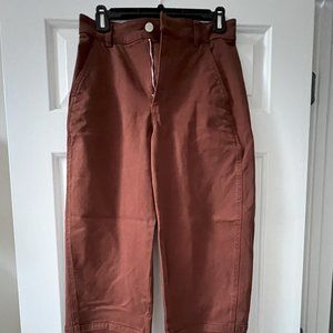 Everlane Utility Barrel Pant (size 2)